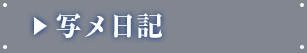 写メ日記